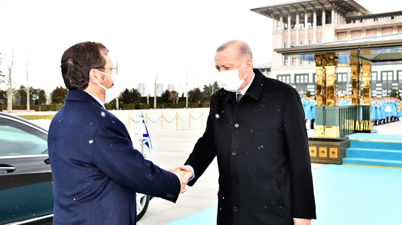 Erdogan y Herzog