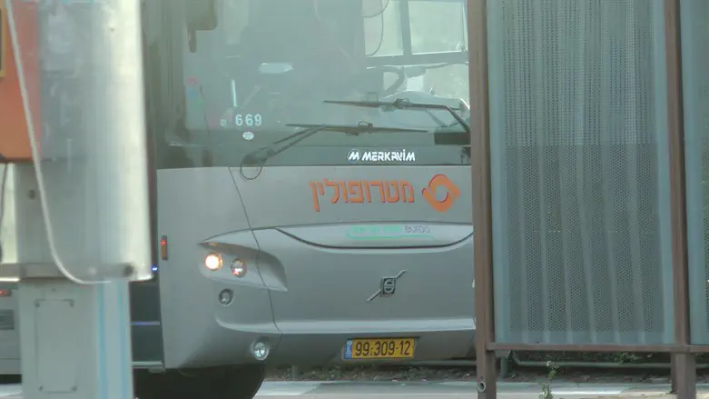 Metropoline bus