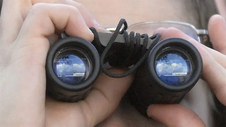 Binoculars (illustrative)