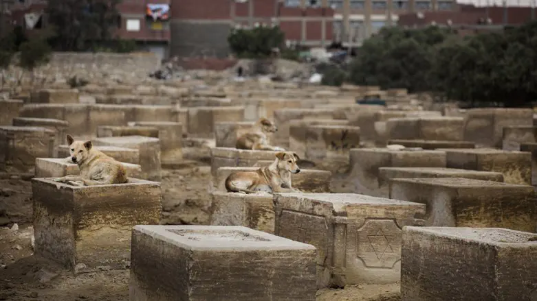 The Bassatine Jewish cemetery in Cairo, Egypt.