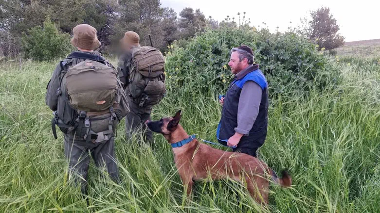 Israel Dog Unit locates two IAF soldiers during the exercise