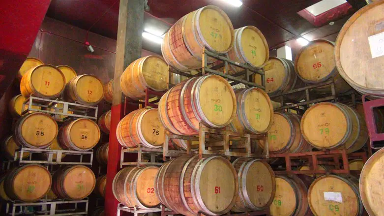 Psagot winery
