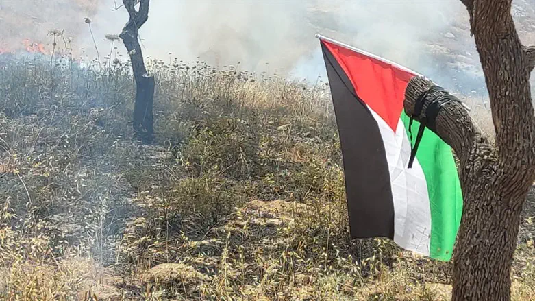 דגל פלסטין שנמצא סמוך לאחד ממוקדי הדליקה