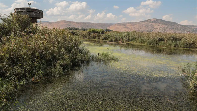 Clouds pass overhead of the Hula Nature Reserve in northern Israel