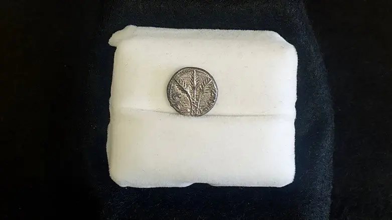 The quarter-shekel coin