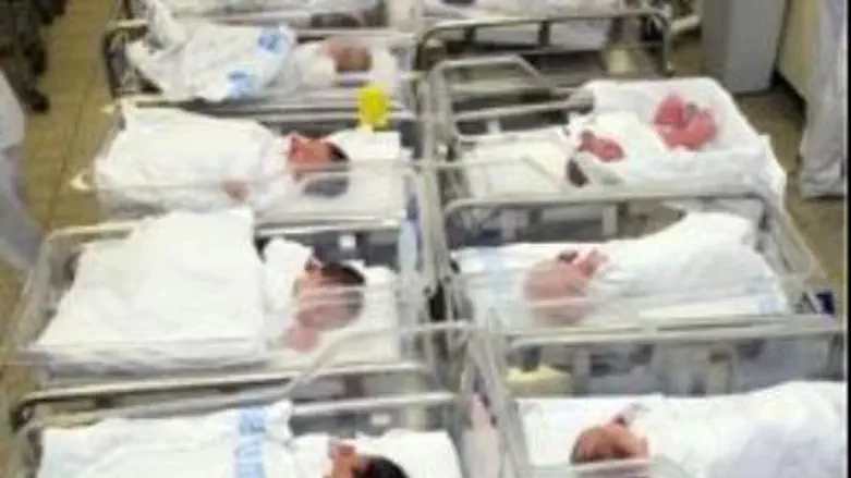 Newborn babies in an Israeli hospital nursery