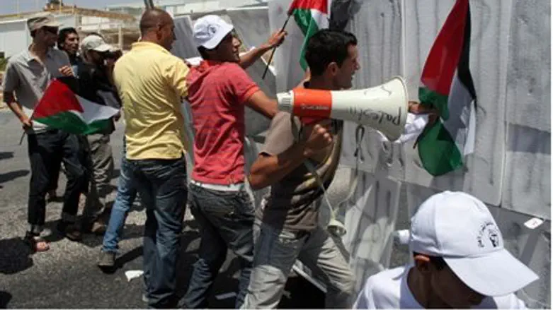 Anti-Israel demonstration (illustrative)