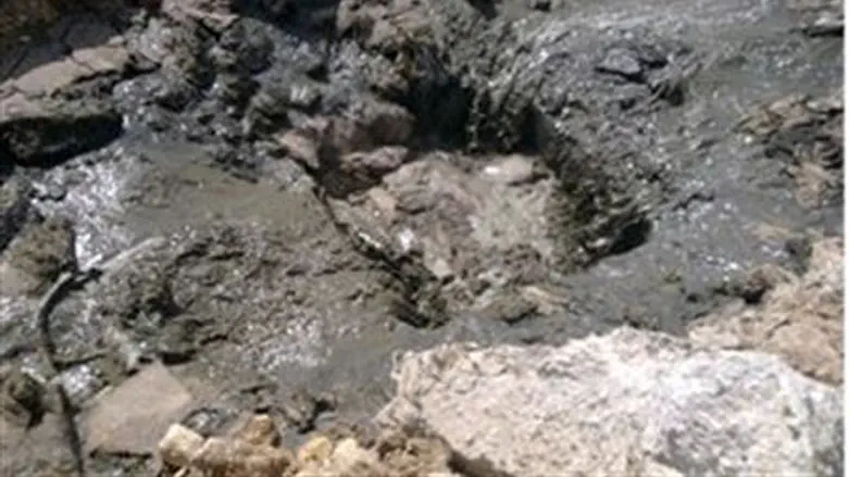 Sewage streams into Wadi Kelt