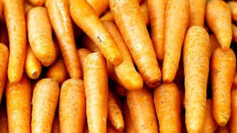 Carrots -a  new Israeli specialty in Russia