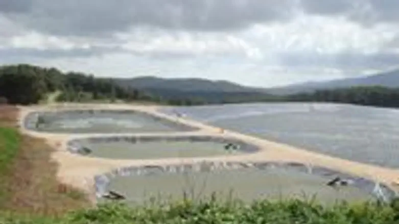 Wastewater treatment lagoon designed by Mapal