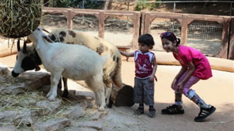 PA children at Safari Zoo near Tel Aviv