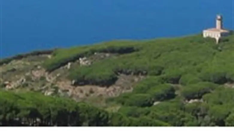 Giglio Island