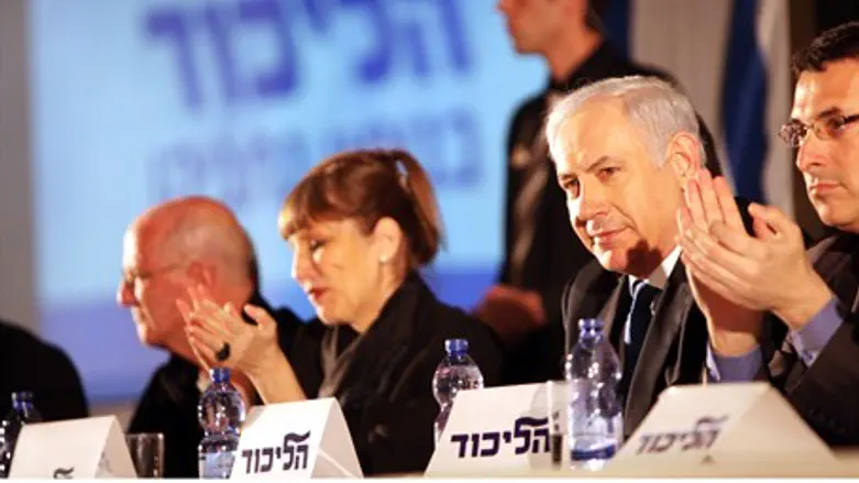 Likud conference