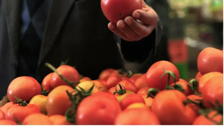 Israeli tomatoes