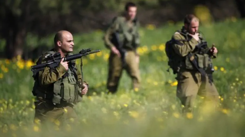 IDF combs fields near Nir Am