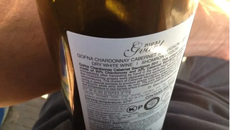 Gvaot Wine from Samaria