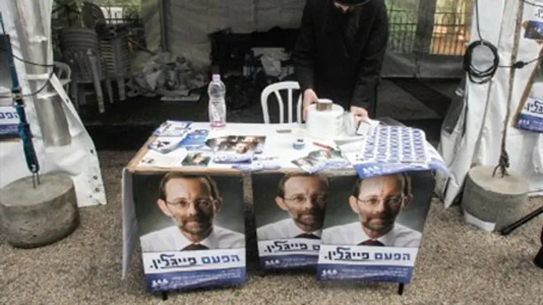 Likud supporter arrives in Jerusalem to vote