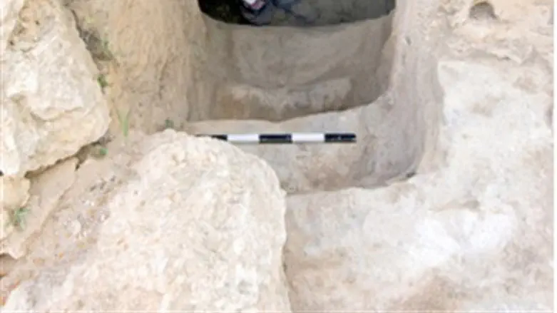 IAA archaeologist Benyamin Storchan