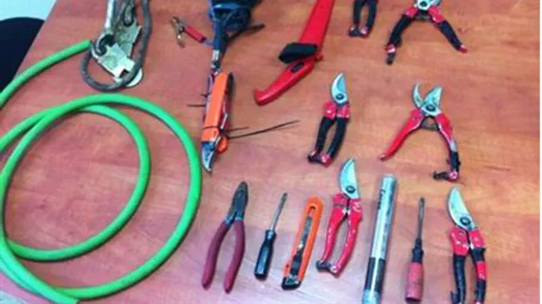 Tools netted in sting