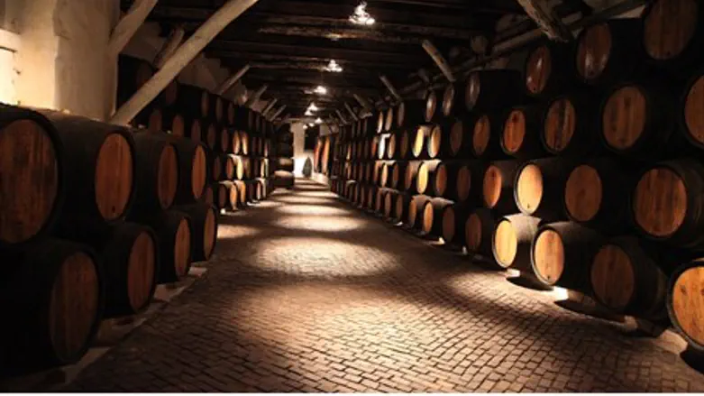 Wine Cellar (illustrative)