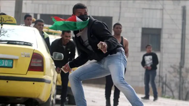 Palestinian Arab throws rocks at IDF soldiers