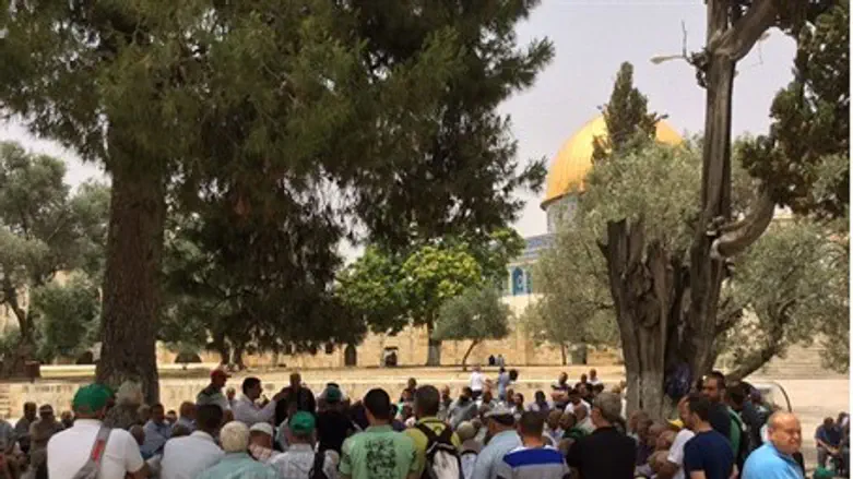 A large group of Muslms on the Temple Mount