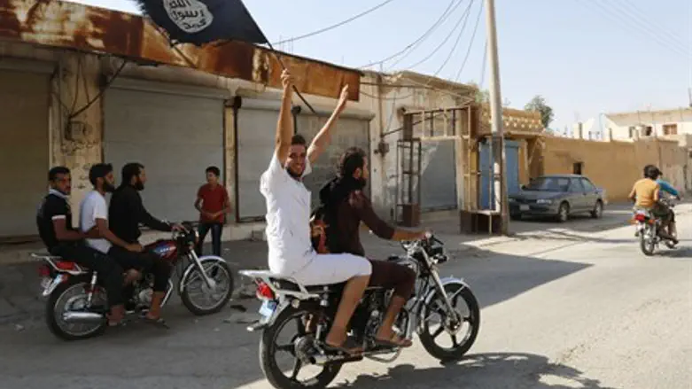 Islamic State supporters celebrate capture of