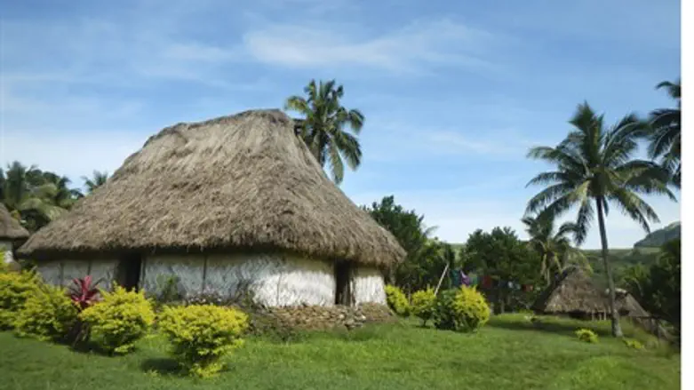 Traditional Fiji home (illustration)