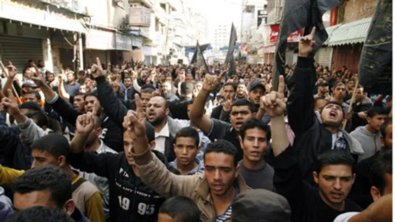 Gaza protest (file)