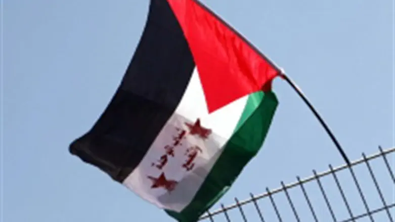 PLO Flag (file)