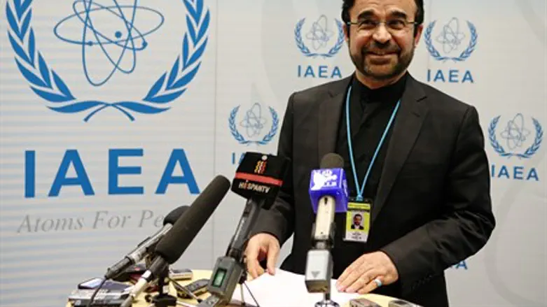 Iran's ambassador to the IAEA Reza Najafi