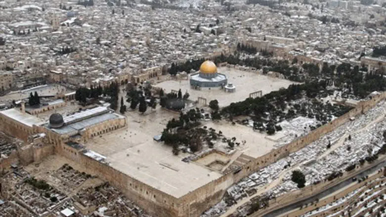 Al Aqsa Mosque (bottom left)