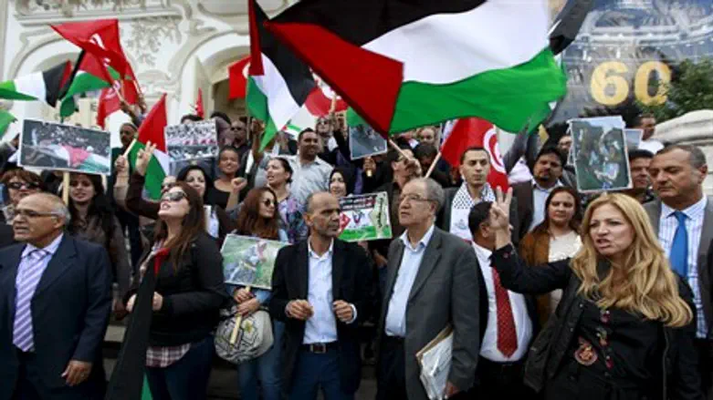 Pro-Palestinian demonstration in Tunis (archive)