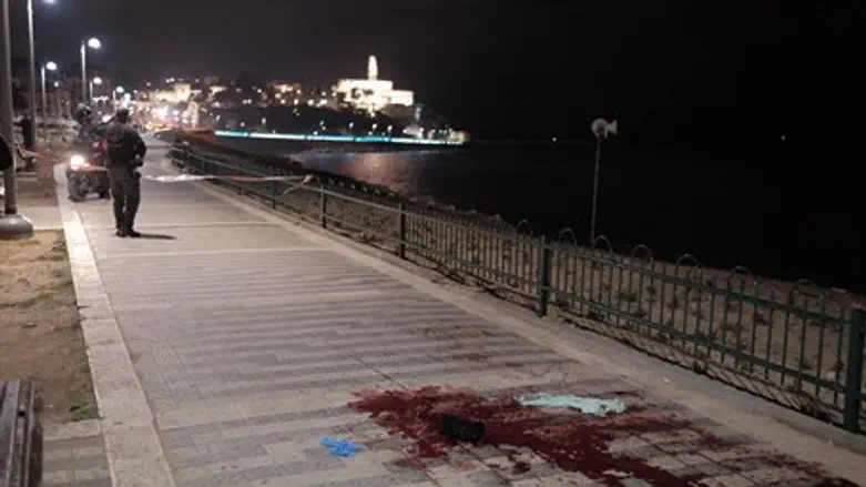 Pool of blood at the scene of Jaffa stabbing spree