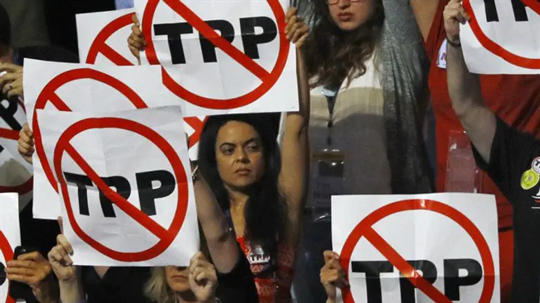 Delegates hold anti-Trans-Pacific Partnership signs during the Democratic National Convent