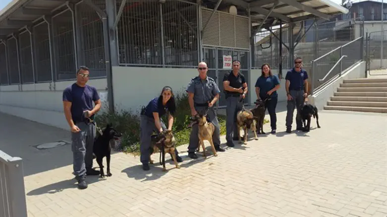 The new police dogs