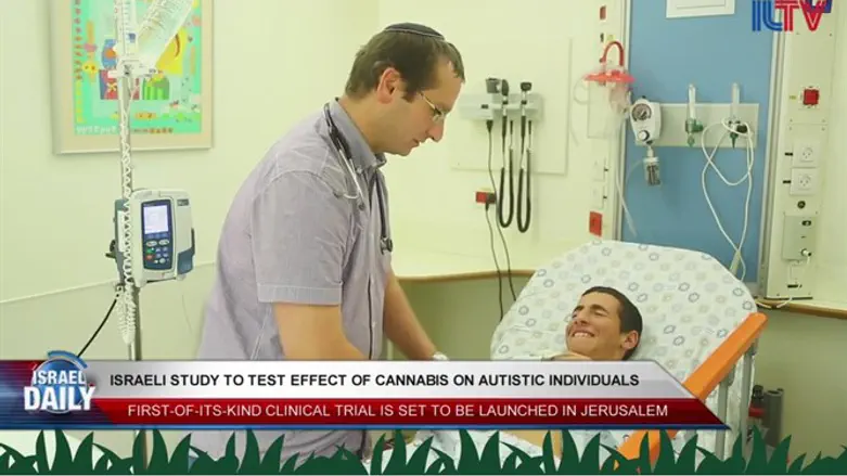 Israeli study to test effect of cannabis on the autistic