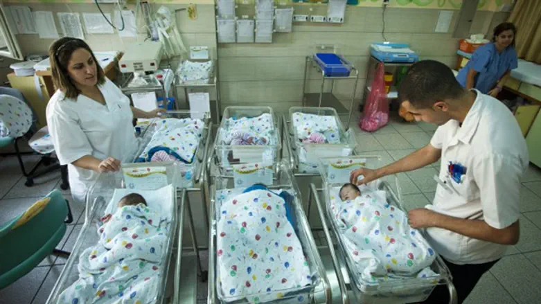 New-born babies in Nazareth maternity ward