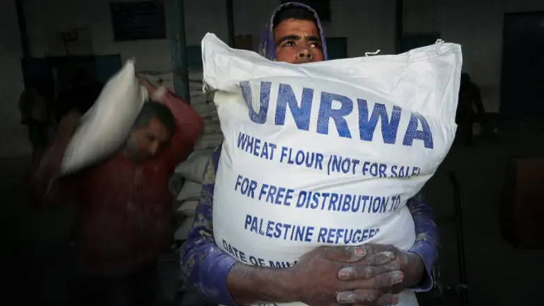 "Palestinian refugees" get food hand-outs from UNRWA in Gaza