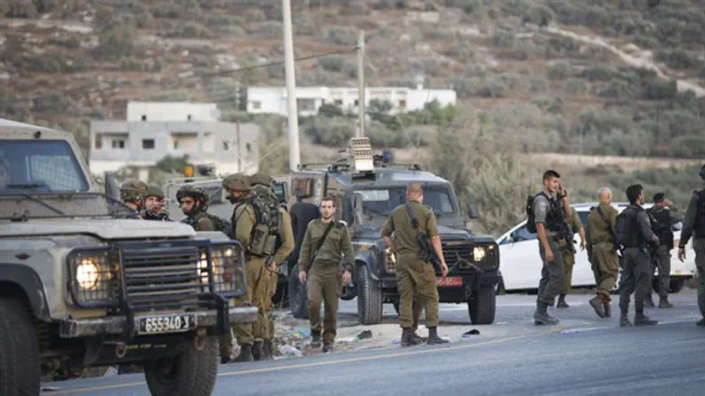 Border Police and soldiers in Samaria (file)
