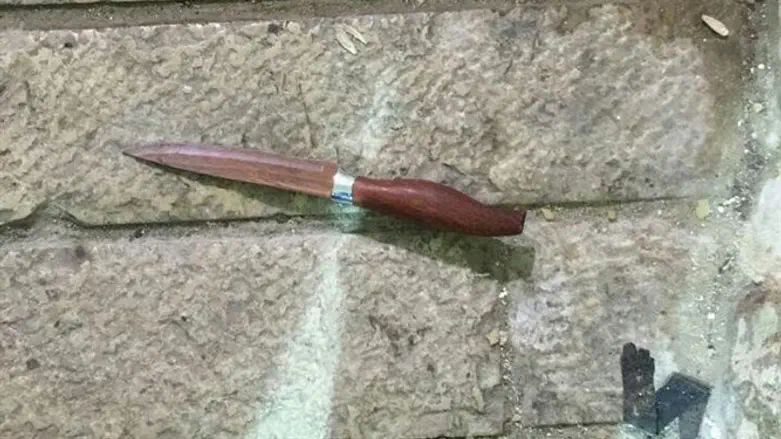 Terrorist's knife