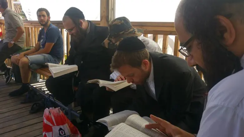 Learning Torah on the Temple Mount