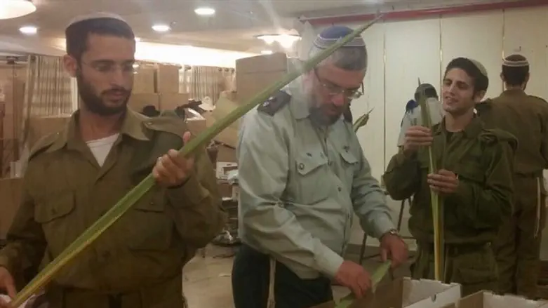 IDF rabbis inspecting lulavs