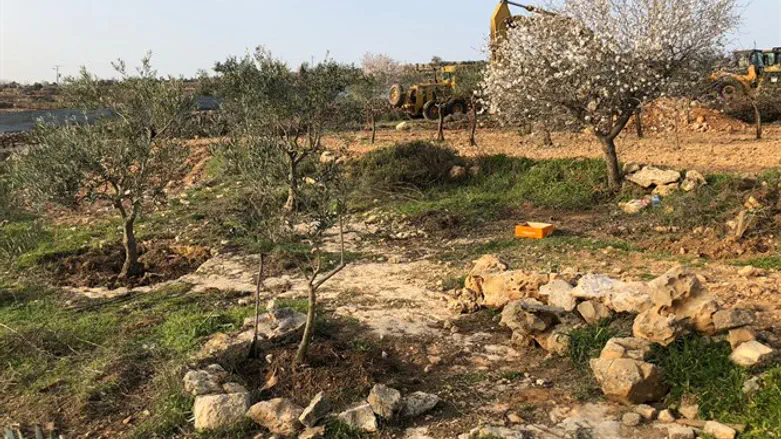 Bulldozers preparing to destroy Netiv Ha'avot