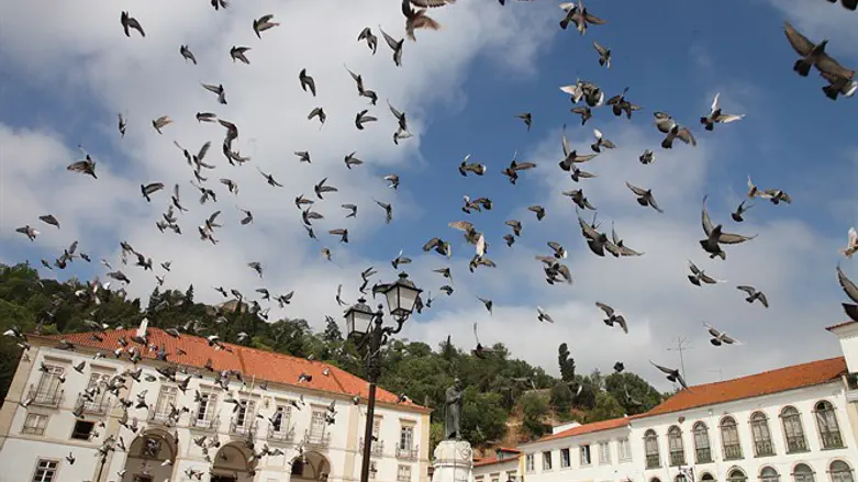 Soaring heavenward in Tomar, Portugal at site of inquisition