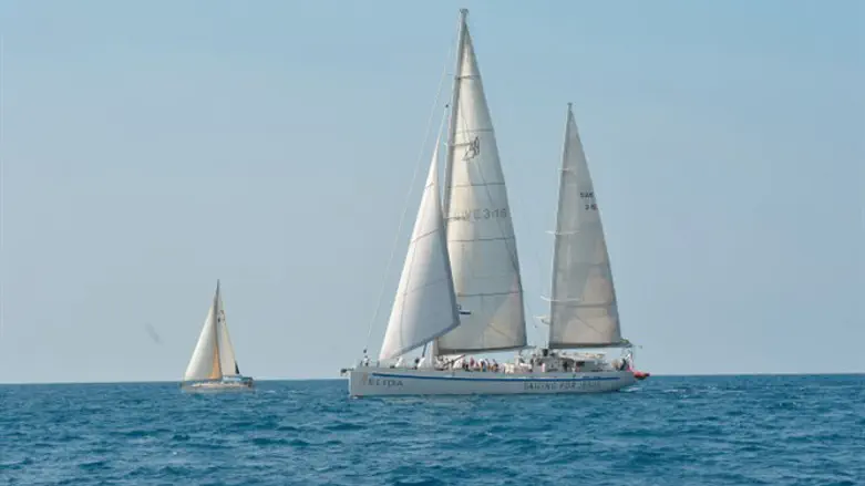 Yachts from Swedish flotilla
