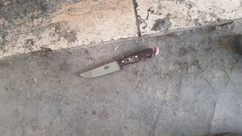 Knife carried by captured terrorist