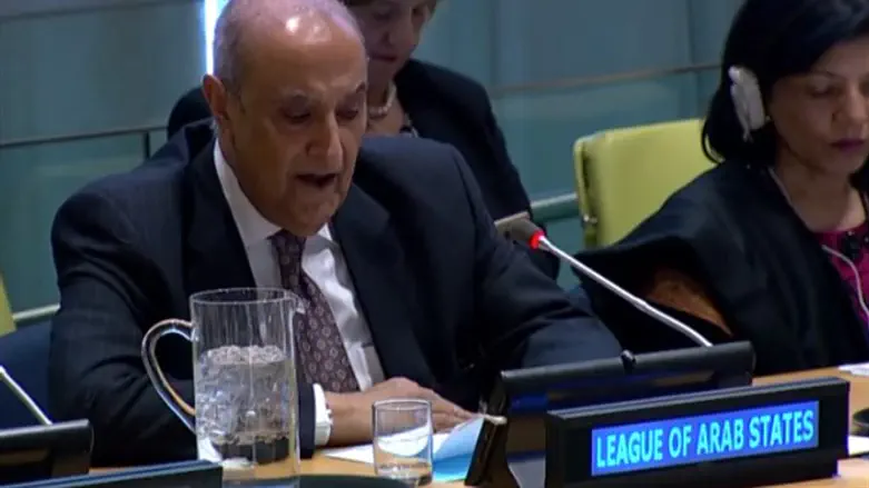 Arab League representative Majed Abdelfattah Abdelaziz,