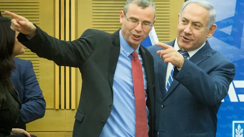 Yariv Levin (L), PM Netanyahu