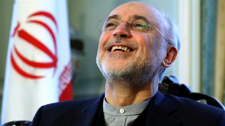 Iran's nuclear chief Ali Akbar Salehi 